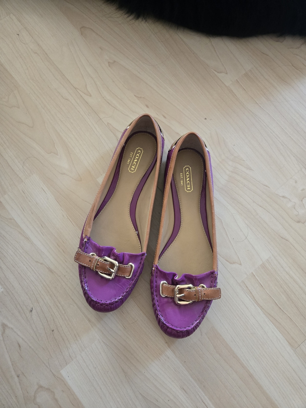Coach Women's Purple and Tan Leather Loafers